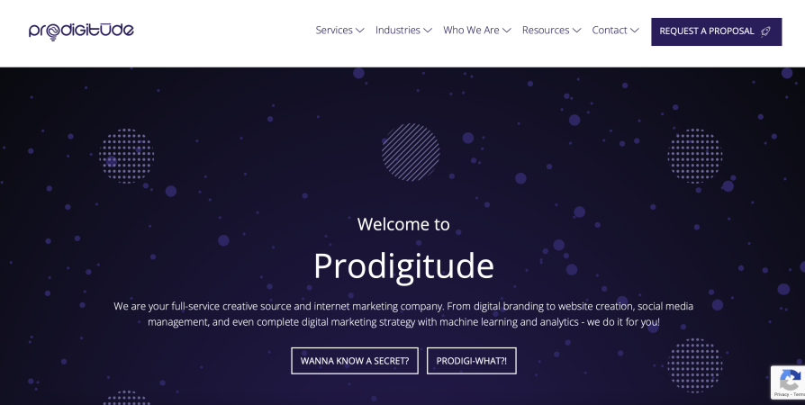 Prodigitude Website